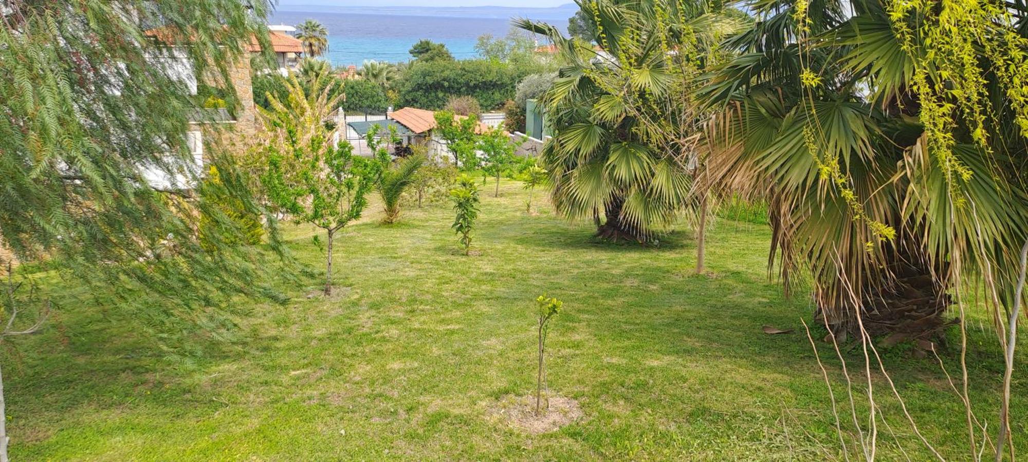 Villa Helga Exotic Pefkochori Exterior foto